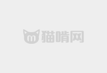 鴻雷行書簡體：因為太閑了，兩年后我又寫了一套免費字體！-貓啃網(wǎng)